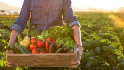 Small Farmer Training photo 